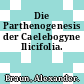 Die Parthenogenesis der Caelebogyne Ilicifolia.