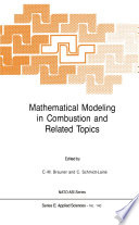 Mathematical Modeling in Combustion and Related Topics [E-Book] /