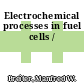 Electrochemical processes in fuel cells /