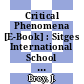 Critical Phenomena [E-Book] : Sitges International School on Statistical Mechanics, June 1976 Sitges, Barcelona/Spain /