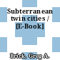Subterranean twin cities / [E-Book]