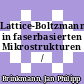 Lattice-Boltzmann-Simulation in faserbasierten Mikrostrukturen /