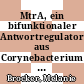 MtrA, ein bifunktionaler Antwortregulator aus Corynebacterium glutamicum [E-Book] /