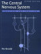 The central nervous system : structure and function /