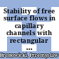 Stability of free surface flows in capillary channels with rectangular cross-sections [E-Book] /