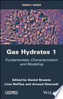 Gas hydrates. 1, Fundamentals, characterization and modeling [E-Book] /