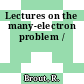Lectures on the many-electron problem /