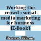 Working the crowd : social media marketing for business [E-Book] /