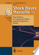 Shock Waves @ Marseille III [E-Book] : Shock Waves in Condensed Matter and Heterogeneous Media /