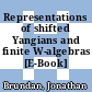 Representations of shifted Yangians and finite W-algebras [E-Book] /