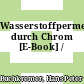 Wasserstoffpermeation durch Chrom [E-Book] /
