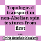 Topological transport in non-Abelian spin textures from first principles [E-Book] /