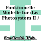 Funktionelle Modelle für das Photosystem II /