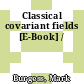 Classical covariant fields [E-Book] /
