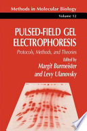 Pulsed-Field Gel Electrophoresis [E-Book] : Protocols, Methods, and Theories /