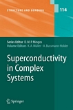 Superconductivity in complex systems [E-Book] /