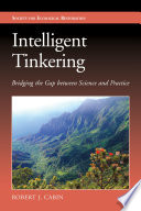Intelligent Tinkering [E-Book] : Bridging the Gap between Science and Practice /