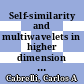 Self-similarity and multiwavelets in higher dimension [E-Book] /
