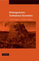 Homogeneous Turbulence Dynamics [E-Book] /