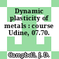Dynamic plasticity of metals : course Udine, 07.70.