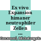 Ex vivo Expansion himaner neutrophiler Zellen : Beiträge zur Prozessentwicklung /