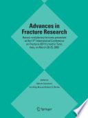 Advances in Fracture Research [E-Book] : Honour and Plenary Lectures Presented at the 11th International Conference on Fracture (ICF11), Held in Turin, Italy, on March 20–25, 2005 /
