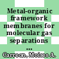 Metal-organic framework membranes for molecular gas separations [E-Book] /