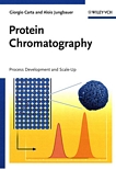 Protein chromatography : process development an scale-up /