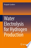 Water Electrolysis for Hydrogen Production [E-Book] /