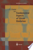 Fundamental Aspects of Silicon Oxidation [E-Book] /