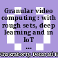 Granular video computing : with rough sets, deep learning and in IoT [E-Book] /