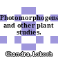 Photomorphogenesis and other plant studies.