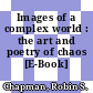 Images of a complex world : the art and poetry of chaos [E-Book] /
