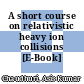 A short course on relativistic heavy ion collisions [E-Book] /