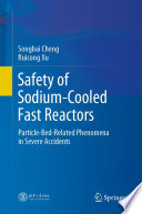 Safety of Sodium-Cooled Fast Reactors [E-Book] : Particle-Bed-Related Phenomena in Severe Accidents /