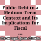 Public Debt in a Medium-Term Context and Its Implications for Fiscal Policy [E-Book] /