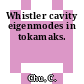 Whistler cavity eigenmodes in tokamaks.