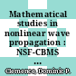 Mathematical studies in nonlinear wave propagation : NSF-CBMS Regional Research Conference on Mathematical Methods in Nonlinear Wave Propagation, North Carolina A&T State University, Greensboro, North Carolina, May 15-19, 2002 [E-Book] /