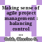 Making sense of agile project management : balancing control and agility [E-Book] /