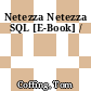 Netezza Netezza SQL [E-Book] /