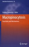 Macropinocytosis : functions and mechanisms /