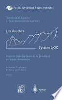 Aspects topologiques de la physique en basse dimension. Topological aspects of low dimensional systems [E-Book] : Session LXIX. 7–31 July 1998 /