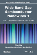 Wide band gap semiconductor nanowires. Volume 1, Low-dimensionality related effects and growth [E-Book] /