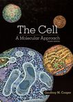 The cell : a molecular approach /