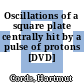 Oscillations of a square plate centrally hit by a pulse of protons [DVD] /