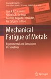 Mechanical fatigue of metals : experimental and simulation perspectives /
