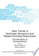 New Trends in Nonlinear Dynamics and Pattern-Forming Phenomena [E-Book] : The Geometry of Nonequilibrium /