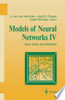 Models of Neural Networks IV [E-Book] : Early Vision and Attention /