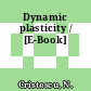 Dynamic plasticity / [E-Book]
