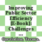 Improving Public Sector Efficiency [E-Book]: Challenges and Opportunities /